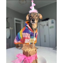Patisserie Store Köpekler Için Doğum Günü Parti Seti (Pembe) - Doğum Günü Pastası, Tasarım Pleksi, Doğum Günü Şapkası