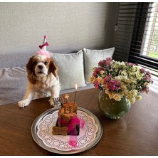 Patisserie Store Köpekler Için Doğum Günü Parti Seti (Pembe) - Doğum Günü Pastası, Tasarım Pleksi, Doğum Günü Şapkası
