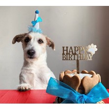 Patisserie Store Köpekler Için Doğum Günü Parti Seti (Mavi) - Doğum Günü Pastası, Tasarım Pleksi, Doğum Günü Şapkası