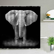 Haitn Siyah Backdrop Afrika Fil Leopar Aslan Desen Duş Perdesi Seti Vahşi Hayvan Baskı Banyo Ev Dekor Erkek Hediye Perdeleri | Duş Perdeleri (Yurt Dışından)