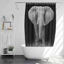 Haitn Siyah Backdrop Afrika Fil Leopar Aslan Desen Duş Perdesi Seti Vahşi Hayvan Baskı Banyo Ev Dekor Erkek Hediye Perdeleri | Duş Perdeleri (Yurt Dışından)
