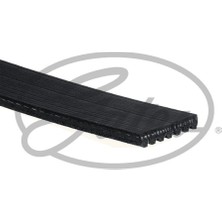 Gates Kanallı Kayış Ford Tourneo Transit 2.4tdcı 16V 00 Landrover Dıscovery 4.0 16V 99-04 Klımasız