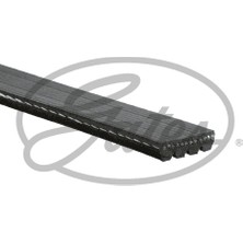 Gates Kanallı Kayış Ford Mazda Mıtsubıshı Suzukı 5723123500-MD186111-4009.41
