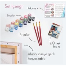 Tabdiko Sayılarla Boyama Seti 40 x 50 cm Tuval Şasesine Gerili Göldeki Evim