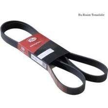 Gates 6PK1778 V Kayısı Kanallı Laguna / Corolla 2.2 Dcı 1.9d
