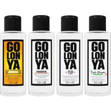 Golonya 4'lü Set - 250 ml Cam Şişe