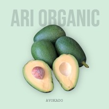 Arı Organic 1 kg Avokado Mini BOY(150 gr Altı)