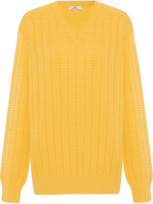 Peraluna Zacha 'v Neck' Neck Pullover Üç Boyut Çizgili Mevsimlik Erkek Triko Kazak - Sarı