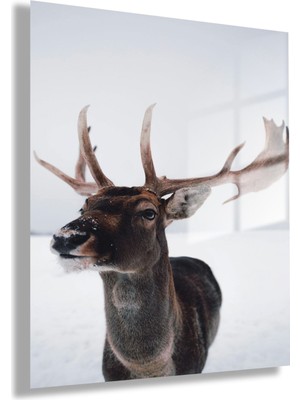 Temperli Gerçek Cam Tablo Yüksek Kalite Yakın Çekim Geyik