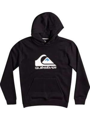 Quiksilver Bıg Logo Youth