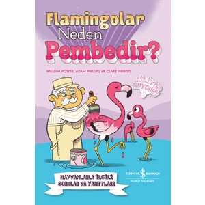 Flamingolar Neden Pembedir? Hayvanlarla Ilgili Sorular ve Yanıtları