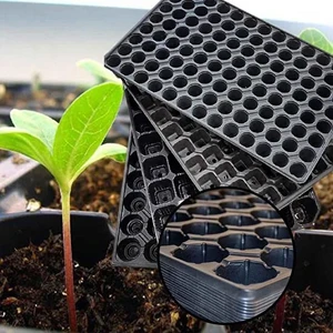 Sef Tarım Fide Viyolü 104 Göz 5'li Paket