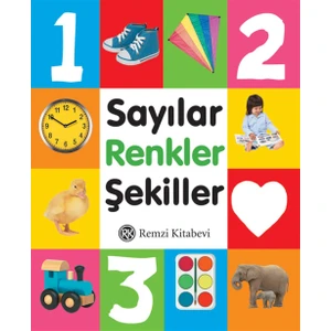 Sayılar Renkler Şekiller - Mini