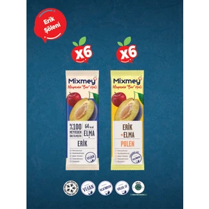 Erik Şöleni Meyve Bar 12 Adet | Glutensiz Ve Sağlıklı Atıştırmalık - 20gr X 12 Adet