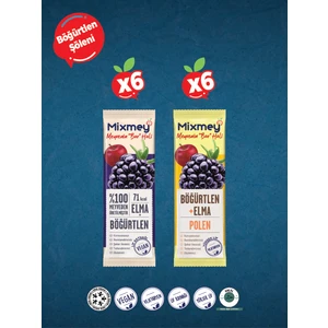 Böğürtlen Şöleni Meyve Barı – 12 Adet | Sağlıklı Atıştırmalıklar – Glutensiz, Koruyucusuz -12 Adet
