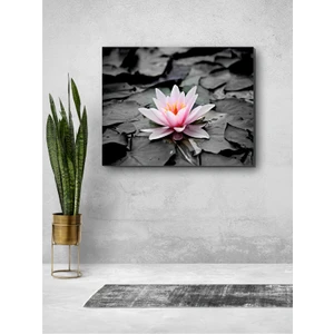 Harz Dekor Lotus Çiçeği Nilüfer Kanvastablo