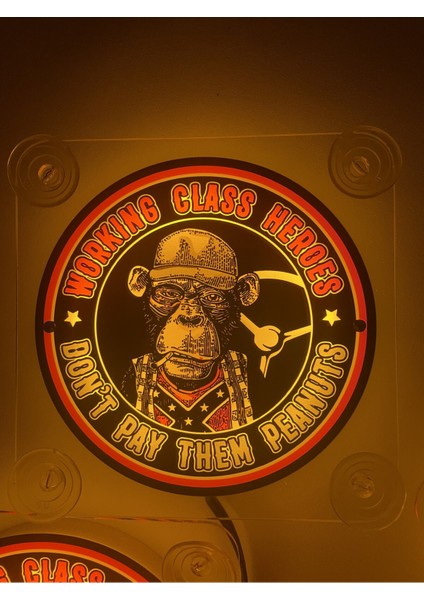 Maymun Cam Önü Logo Tabela 24VOLT