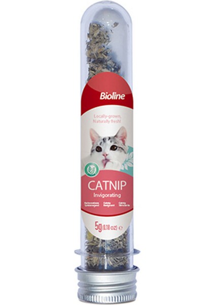 Catnip Kedi Otu 45 ml 276097