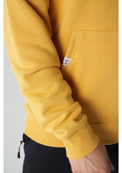 Caleb Hoodıe fiyatları