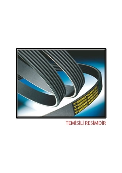 Kanallı Kayış Stılo-Punto-Mazda-Rover 55191970-9S518620BA