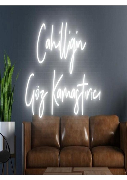 Cahilliğin Göz Kamaştırıcı Yazılı Neon Tabela