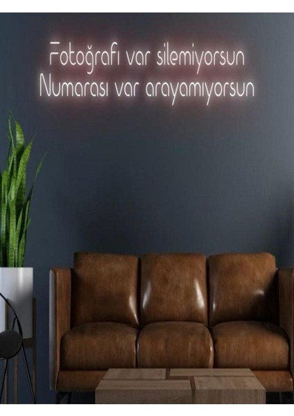 Fotorafı Var Silemiyorsun Numarası Var Arayamıyorsun Yazılı Neon Tabela