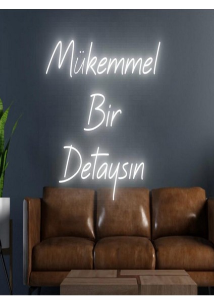 Mükemmel Bir Detaysın Yazılı Neon Tabela