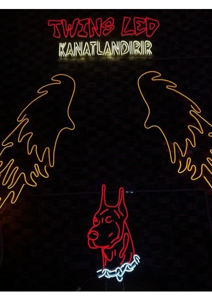 Doberman Köpek Pleksi Neon Tabela