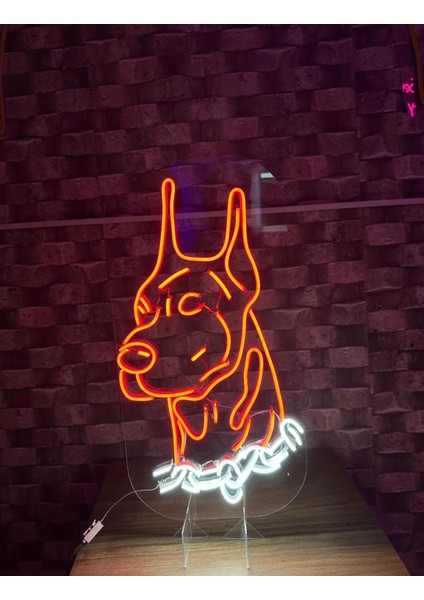 Doberman Köpek Pleksi Neon Tabela modelleri