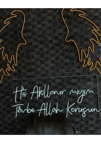 Hiç Akıllanır Mıyım Tövbe Allah Korusun Yazılı Neon Tabela modelleri