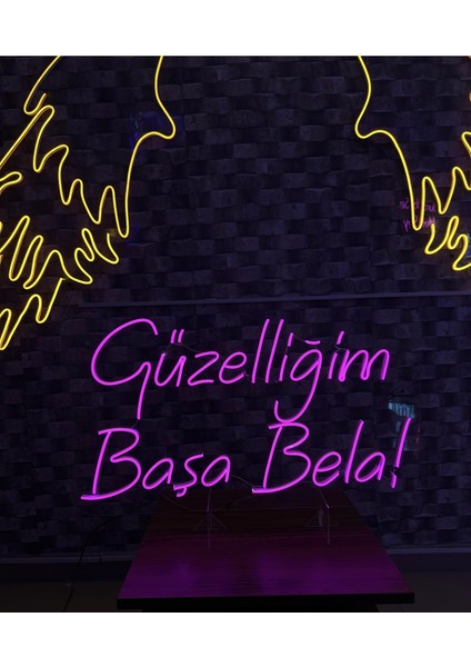 Güzelliğim Başa Bela! Yazılı Neon Tabela fiyatları