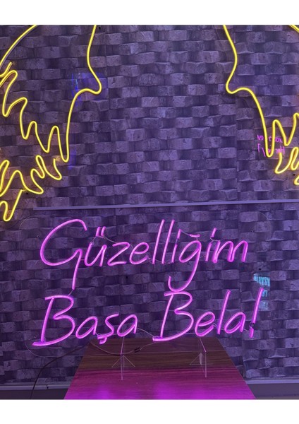 Güzelliğim Başa Bela! Yazılı Neon Tabela modelleri