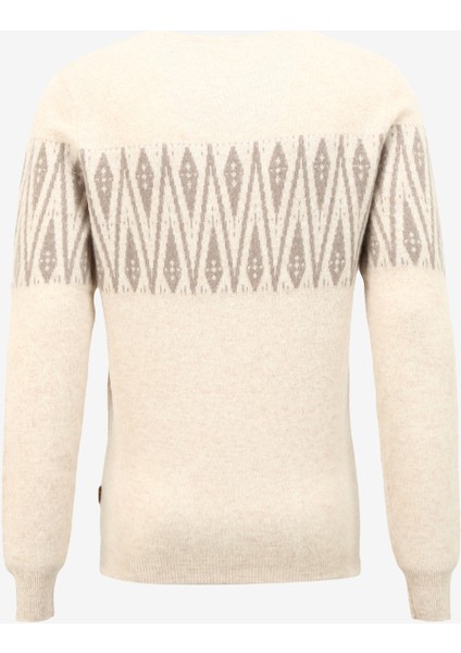 Bisiklet Yaka Slim Fit Bej Erkek Kazak A274A24L126/E- fiyatları