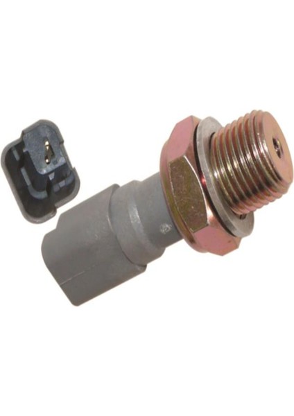 Cıtroen Berlıngo I 2.0 Hdi 2003 - Sonrası Yağ Müşürü