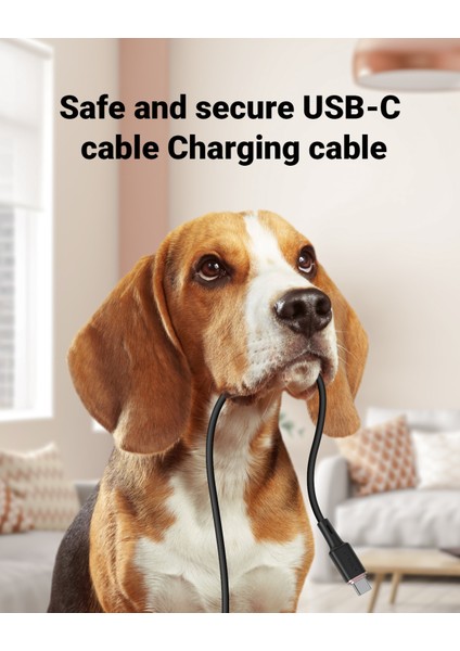 Acefast Silikon Tip C Telefon Şarj Kablosu Samsung S20 S21 3A Hızlı Şarj Cep Telefonu Kablosu Xiaomi Macbook Tabletler Için (Yurt Dışından)