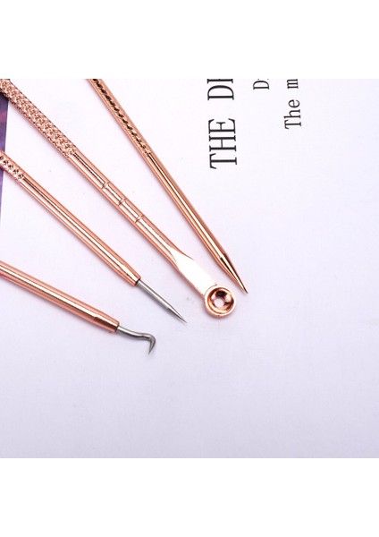 4 Parça Yüz Bakımı Temizleme Çelik Iğne Aracı (Yurt Dışından) modelleri