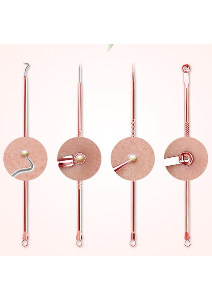 4 Parça Yüz Bakımı Temizleme Çelik Iğne Aracı (Yurt Dışından) indirimleri