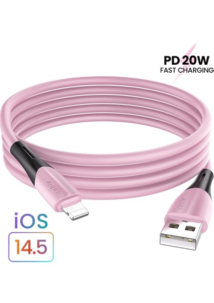 USB Kablosu iPhone 12 11 Pro Max x Xr Xs 8 7 6 6s 5 5s Hızlı Veri Şarj Şarj Cihazı USB Tel Kablosu Sıvı Silikon Kablo 1m (Yurt Dışından)