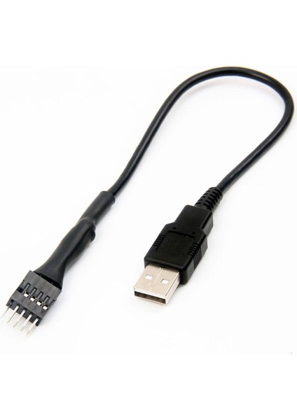 9pin Erkek - Harici USB A Erkek Pc Anakart Uzatma Kablosu 20CM (Yurt Dışından)