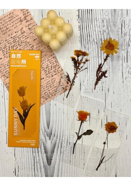 5'li Çiçekli Şeffaf Sarı Kutu Kitap Ayracı