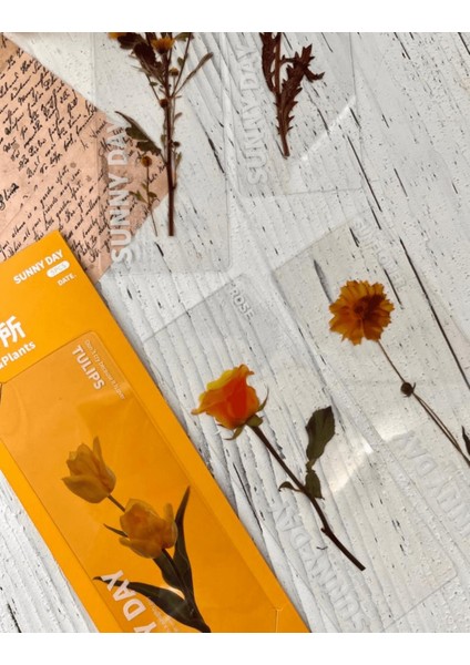 5'li Çiçekli Şeffaf Sarı Kutu Kitap Ayracı
