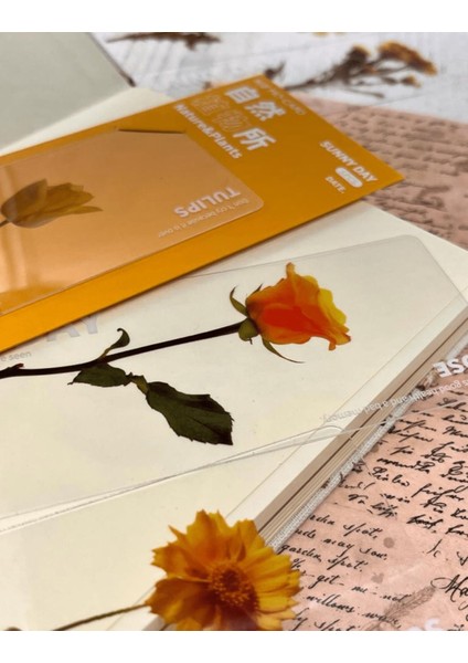 5'li Çiçekli Şeffaf Sarı Kutu Kitap Ayracı