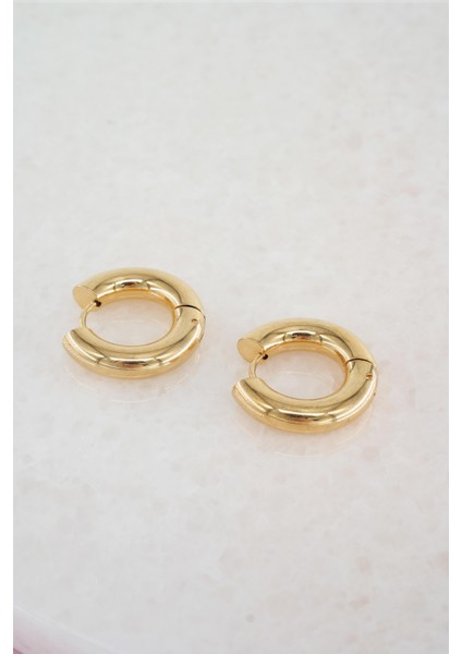 Kadın Vip Seri 316 L Paslanmaz Çelik Bombeli 1.8 cm Halka Küpe fiyatları