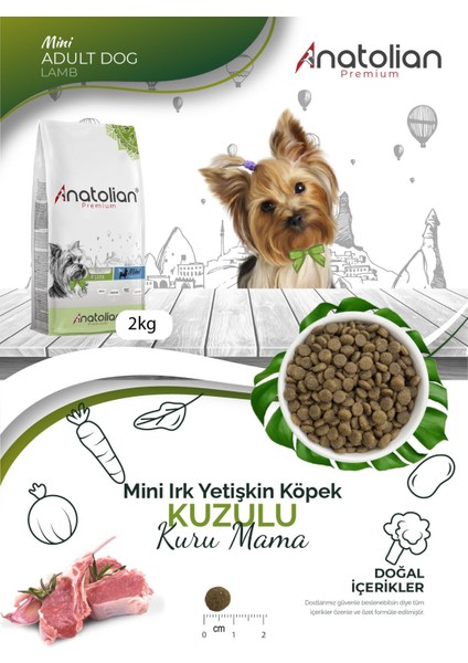 Anatolian Premium Mini Adult Lamb Kuzulu Yetişkin Küçük Irk Köpek Maması 4 kg