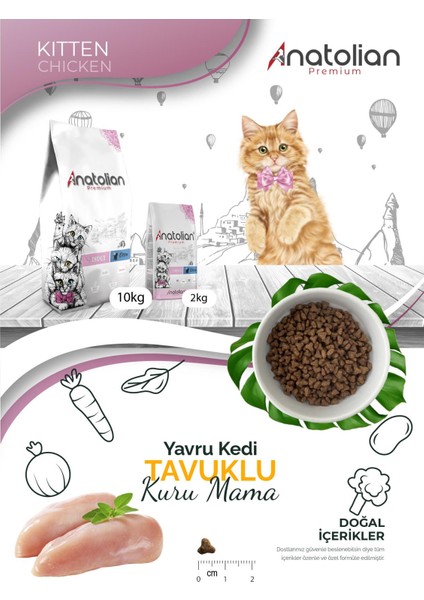 Premium Kitten Chicken Tavuklu Yavru Kedi Maması 4 kg