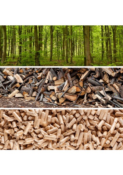 Çam Peleti Kedi Kumu Legno Pelet 15 kg modelleri