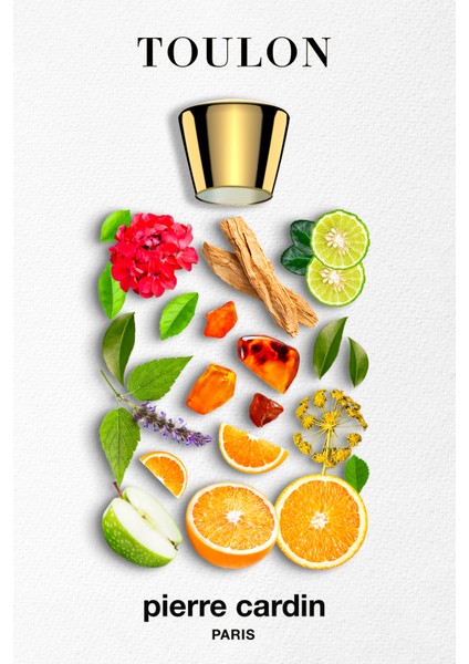 Toulon Edt 100 ml Erkek Parfüm PCCB000601 modelleri