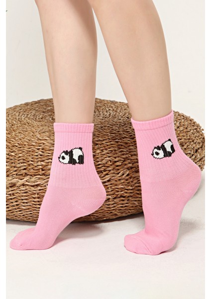 Panda Desenli Renkli Çorap