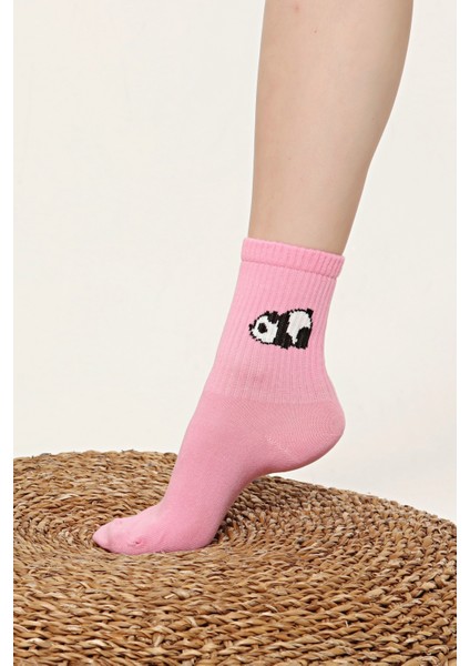 Panda Desenli Renkli Çorap fırsatları