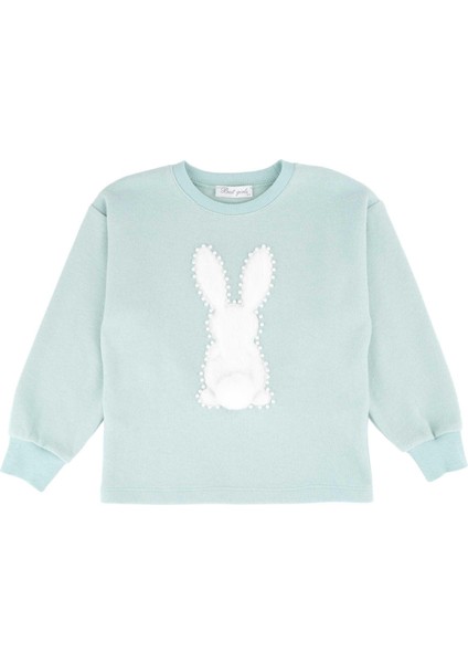 Kız Çocuk Baskılı Sweatshırt fiyatları